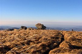 Grassy Ridge Bald in the Roan Highlands