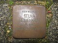 image=File:Stolperstein Selma Blumenkron, 1, Altenhagen 7, Naumburg (Hessen), Landkreis Kassel.jpg