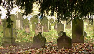 20.7.14 Jüdischer Friedhof in Hameln