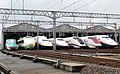 Lineup of JR East E5,200, E2, E4, E2, E3, E926, E1 series Shinkansen trains at Niigata Depot