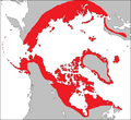 Circumpolar distribution