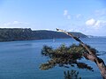 Crozon : paysage près du Cap de la Chèvre 6