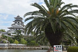 Imabari Castle 2021-08 ac (1).jpg