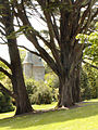 Trelissick view