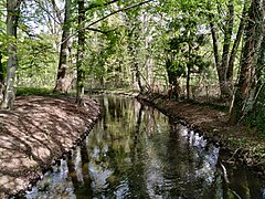 Panke Schlosspark Niederschönhausen.jpg