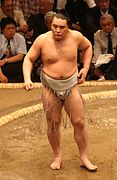 Sumo May09 Harumafuji.jpg