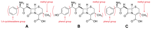 Cephalosporins (1st generation).svg