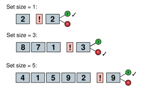 Sternberg memory scanning task.svg