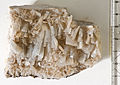 Baryte xx - Grube Wolkenhügel, Bad Lauterberg, Harz, Germany