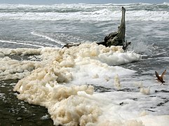 Sea foam, San Francisco, California