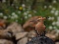 Lanzarote, Canary Islands