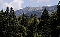 Valsaín Valley, Segovia, Spain