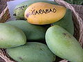 Ripe and unripe CARABAO (native of the Philippines)