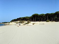 Playa de El Aculadero (8977308745).jpg