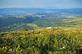 * Nomination Aerial view from mountain peak.Šiljak, Rtanj, Serbia --Nino Verde 18:05, 17 August 2024 (UTC) * Promotion  Support Good quality. --Екатерина Борисова 01:06, 18 August 2024 (UTC)