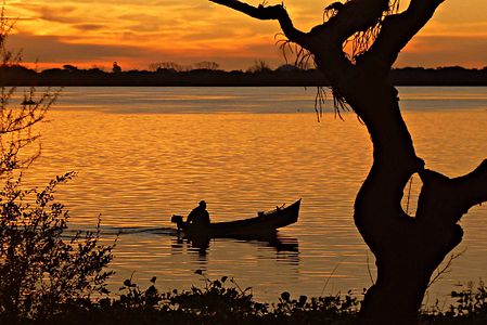 A fisherman comes back from the calm waters of the Uruguay River in Esteros de Farrapos in Uruguay. By La gringa Ceci, CC-BY-SA-3.0-UY