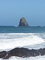 Gull Rock, Trebarwith