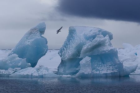 Iceberg at Franz Josef Land Reserve, by Nixette