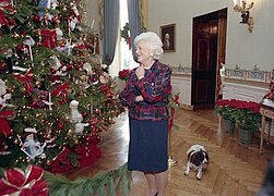 1992 Blue Room Tree.jpg