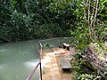 The cenote in St. Herman's Blue Hole National Park