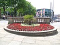 Flower Bed, William Brown Street July 08