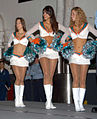 Miami Dolphins cheerleaders