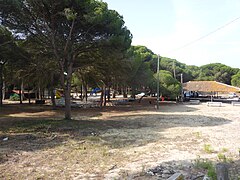 Pinares de Colón - P1110864.jpg