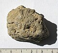 Pumice from the Greek island of Santorini