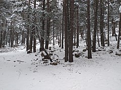 2022-03-06 Sierra de Gúdar nevada 05.jpg