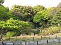 Part of the Ninomaru Garden, seen from the tea house