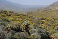 distant view from the south, from Palm Canyon