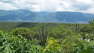 Sierra Madre Oriental - La Independencia, Jaumave, Tam.jpg