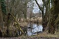 Nature reserve Moenchbruch