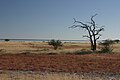 English: Etosha pan Deutsch: Etosha-Pfanne