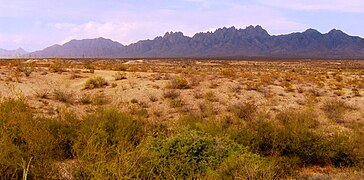 Organ Mountains