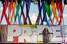 2022.06.12 Capital Pride Festival and Concert, Washington, DC USA 163 509330 (52147198579).jpg