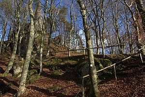 Burgruine Wildenfels - Blick auf die westliche Zwingermauer und dem Zugang zur Burganlage (Januar 2012)