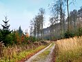 Herbst im Teutoburger Wald