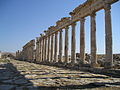 Pillars along the Cardo