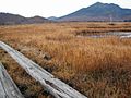 Ozegahara marsh in Japan