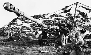 A 105 mm light gun of 29 Commando Regiment, Royal Artillery sited under camouflage netting between Fitzroy and Bluff Cove in the Falkland Islands, June 1982. FKD170.jpg