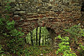 regiowiki:Datei:Burgruine Steinegg - Torbogen in der nordöstlichen Außenmauer.jpg