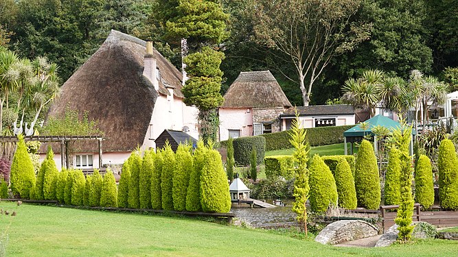 Thatched Houses and Garden with hedges in Cockington, Devon, England