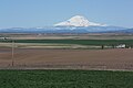 Mount Adams (Washington)