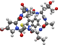 Phalloidin 3D BS.png