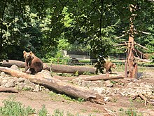 Straubing Zoo 02.jpg