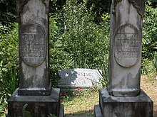 Two Hatfield Headstones.JPG