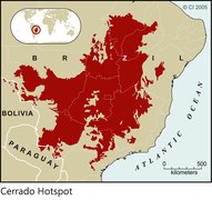 Cerrado Hotspot 2005 Print.tif