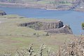 From Tom McCall Preserve