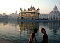 Holy dip at Harmandir Sahib sarovar.